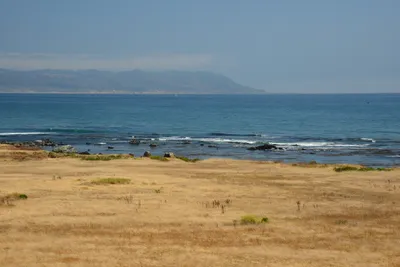 DSC_2495 (Large).JPG